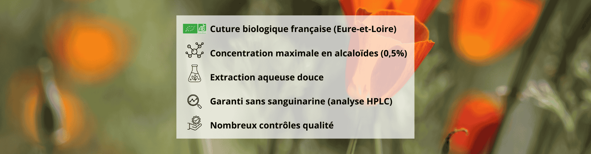 Pourquoi choisir notre extrait d eschscholzia